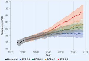 Projected average Temperature for Nigeria (Reference period (Dove, 2021).