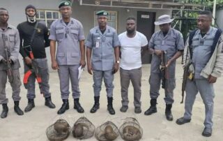 NCS officials and the four live pangolins rescued from wildlife traffickers in Ajilete creeks, Ogun State, during a recent operation. Photo credit: Nigeria Customs Service (NCS)